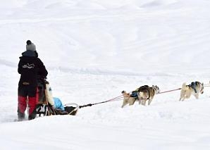 A day with the sleigh dogs