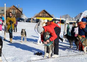 Circuit avec des chiens de traîneaux sur le Flumserberg