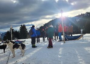 Circuit avec des chiens de traîneaux sur le Flumserberg