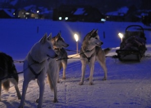 Husky-Feierabendfahrt