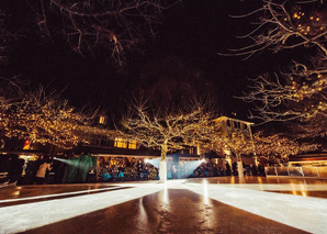 Ice skating with dinner at Lake Zurich