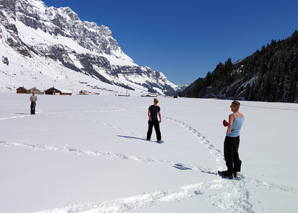 Snow mandalas