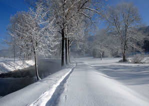 Snowshoeing in the Jura