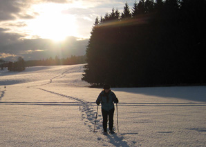 Schneeschuhlaufen im Jura