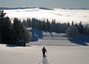 Raquettes à neige dans le Jura