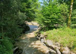 Construction de ponts à cordes en équipe