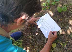 Rope bridge construction