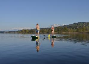 Stand Up Paddling und Windsurfen