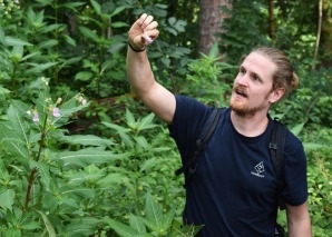 Survival-Wissen: Essbare Wildpflanzen erkennen und nutzen