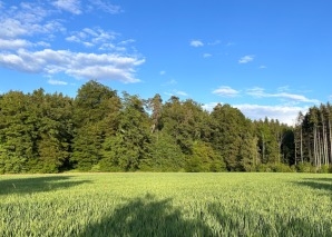 Team cooking course in the countryside