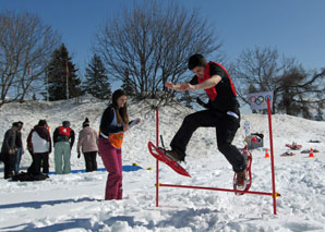 Swiss alpine games