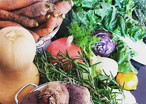 Spannender Koch-Event statt Food Waste