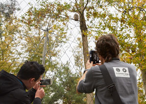 Tierpark-Fotografie mit dem Handy