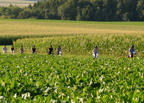 moped tour Emmental with barbecue