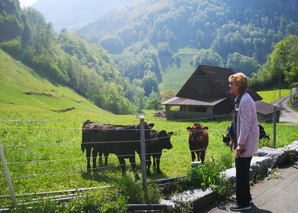 Begleitete Tour durch Bern und das Emmental