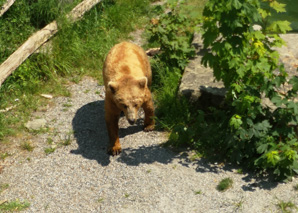 Guided tour - Berne and Emmental