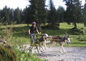 Randonnée en trottinette avec des Huskies