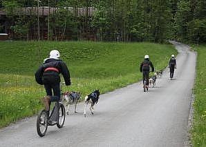 Randonnée en trottinette avec des Huskies