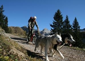 Randonnée en trottinette avec des Huskies