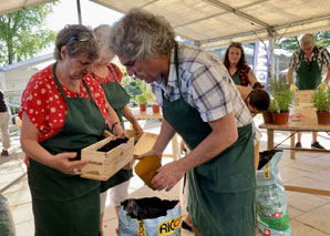 Urban Gardening – Kräuter pflanzen im Team