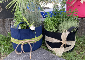 Urban Gardening – planter en équipe