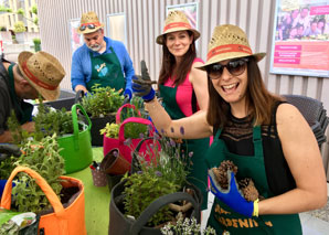 Urban Gardening – planter en équipe