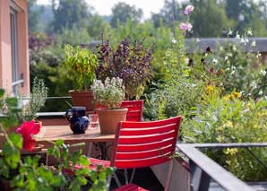 Get to know urban gardening