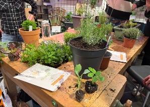 Urban Gardening kennenlernen