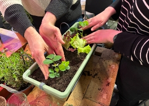 Urban Gardening kennenlernen