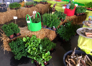 Jardinage urbain - événement d'équipe naturel