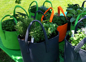 Jardinage urbain - événement d'équipe naturel