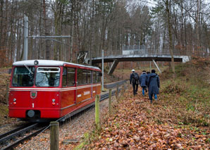 Urbanes Feuerkochen in Zürich und Bern