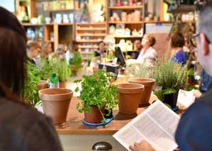 Comment planter et récolter des légumes et des herbes en ville