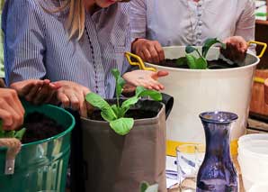 Comment planter et récolter des légumes et des herbes en ville