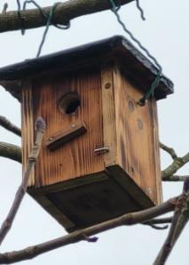 Construire une cabane à oiseaux en équipe