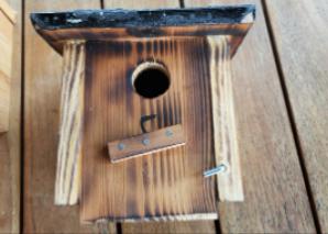 Building a birdhouse as a team