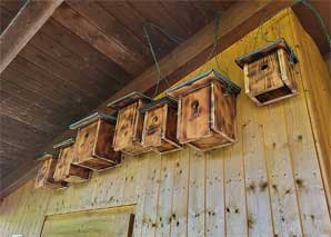 Vogelhaus bauen im Team