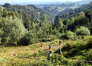 Volunteering-Event – Lassen Sie uns gemeinsam Gutes tun