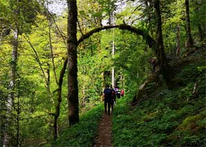 Schifffahrt und Wanderung im Regionalpark Doubs