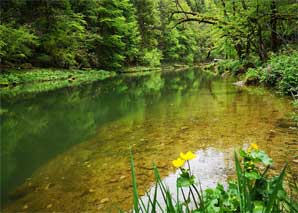 Boat trip and hike in the Doubs Regional Park