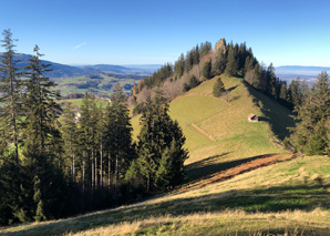 Wandern und Schnitzen