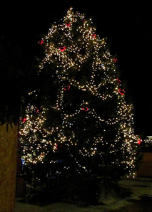 Quiz de Noël amusant dans la vieille ville de Berne