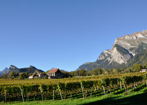 Graubünden wine challenge
