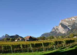 Challenge de vins dans les Grisons