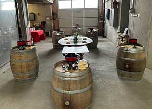 Wine tasting and vineyard tour