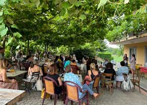 Dégustation de vins et visite du vignoble