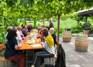 Visite du vignoble avec dégustation de vin chez le vigneron