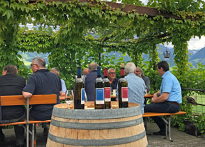 Visite du vignoble avec dégustation de vin chez le vigneron