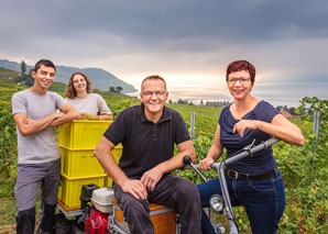 Weinrundgang im Lavaux mit kalter Platte