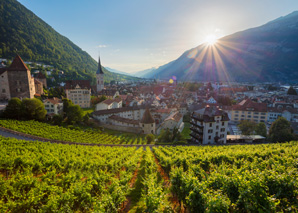 Wine tour avec dégustation de vin à Coire